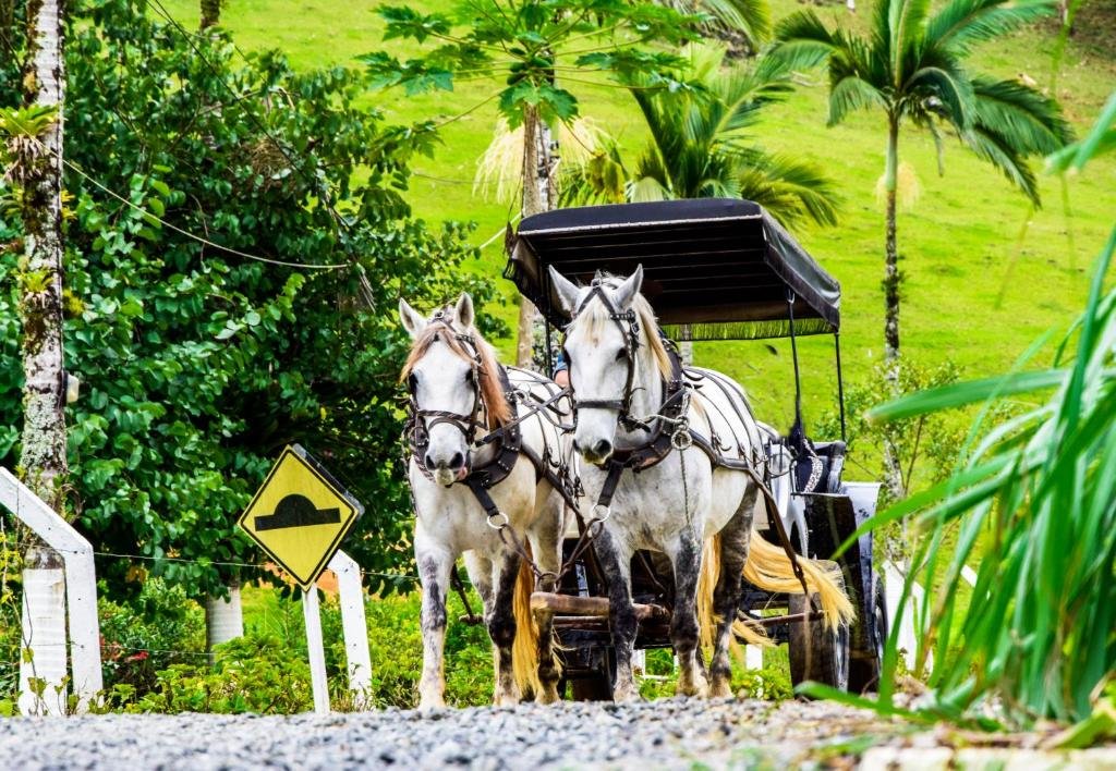 Casarão do Vale – Conforto e tradição rural
