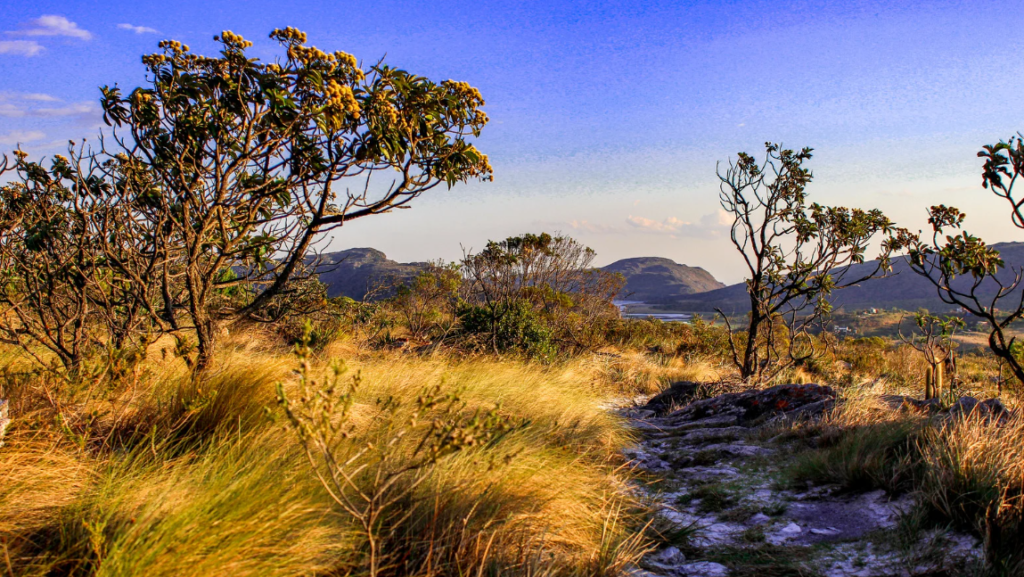 Parque Nacional das Emas – Biodiversidade do Cerrado