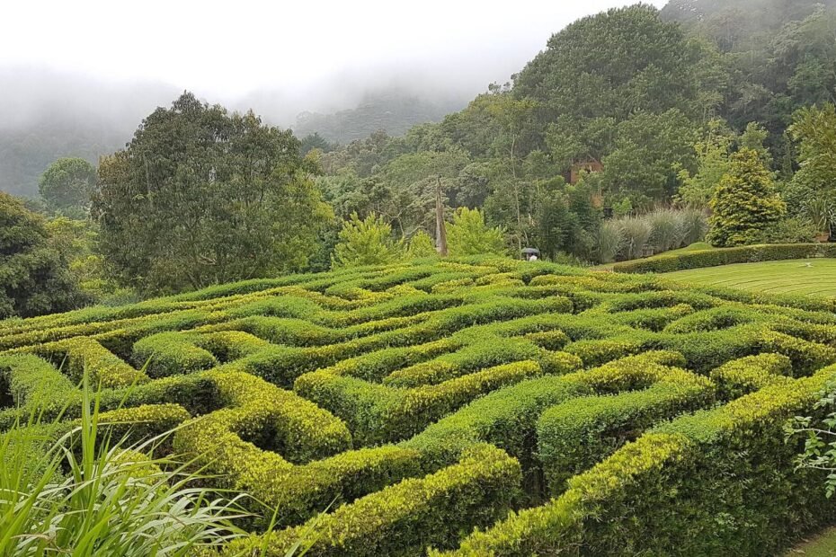 Labirinto de cercas vivas no Parque Amantikir, com a mata da Serra da Mantiqueira ao fundo, em Campos do Jordão