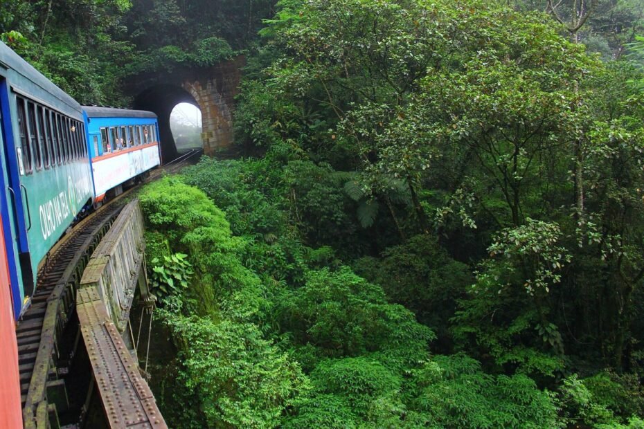 Trem turístico Curitiba–Morretes cruzando viaduto rumo a um túnel na Mata Atlântica da Serra do Mar (PR)