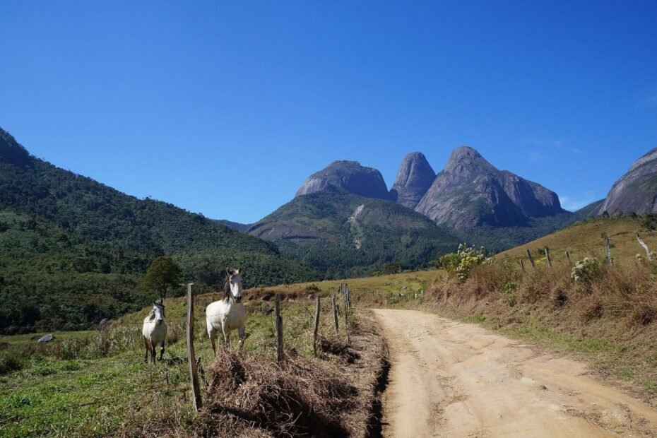 Cavalos brancos junto à cerca de uma estrada de terra entre fazendas, com os Três Picos (RJ) ao fundo