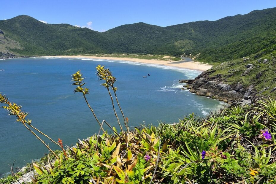Praia da Lagoinha do Leste vista do alto da trilha, com mar azul e morros verdes, em Florianópolis (SC)