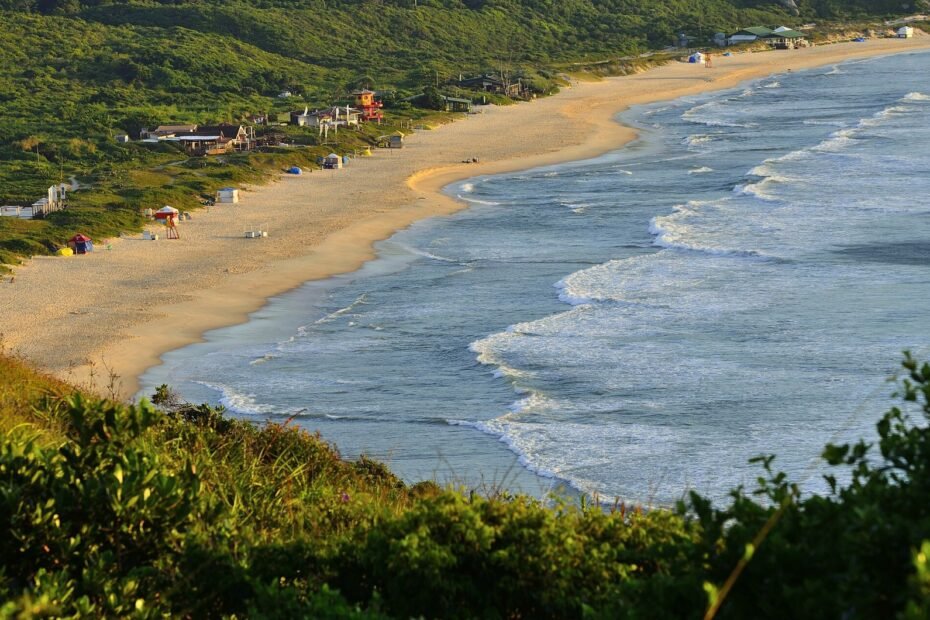 Praia Mole vista do alto ao amanhecer, com ondas, faixa de areia e vegetação nativa, em Florianópolis (SC)