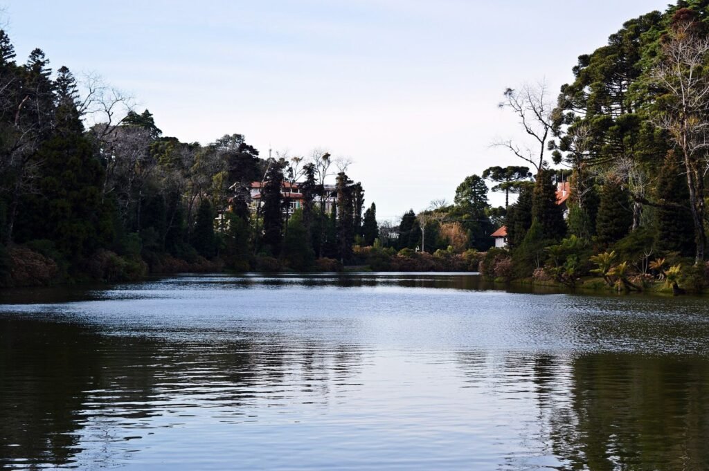 Lago Negro cercado de pinheiros e araucárias, com construções na margem, em Gramado (RS)