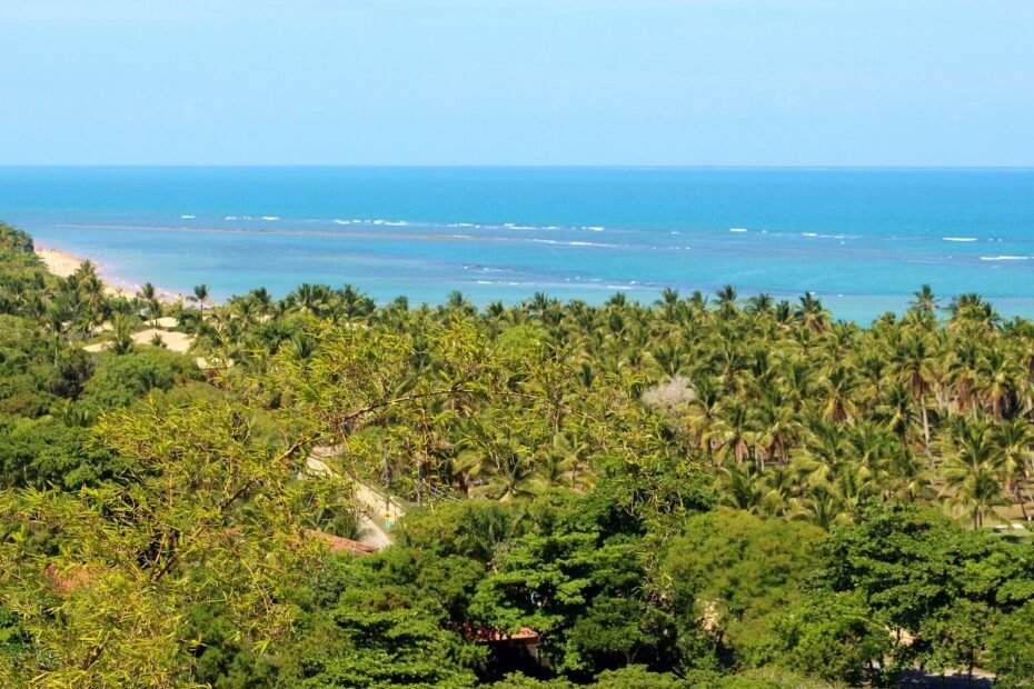 Coqueiral e vegetação tropical diante do mar azul em Arraial d'Ajuda, distrito de Porto Seguro (BA)